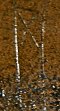 Snippet des Graphtypen