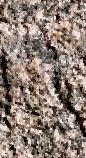Snippet des Graphtypen