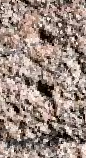 Snippet des Graphtypen