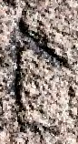 Snippet des Graphtypen