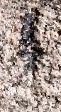 Snippet des Graphtypen