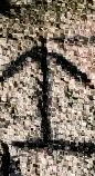 Snippet des Graphtypen