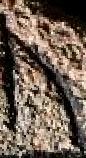 Snippet des Graphtypen