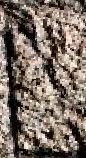 Snippet des Graphtypen