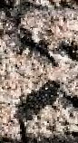 Snippet des Graphtypen