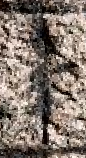 Snippet des Graphtypen