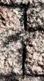 Snippet des Graphtypen