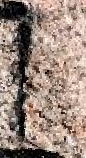 Snippet des Graphtypen