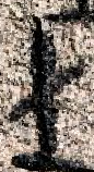 Snippet des Graphtypen