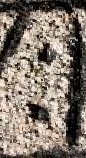 Snippet des Graphtypen