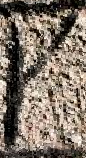 Snippet des Graphtypen