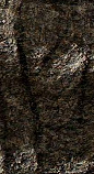 Snippet des Graphtypen