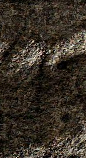 Snippet des Graphtypen