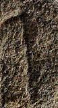 Snippet des Graphtypen