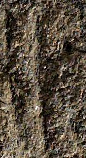 Snippet des Graphtypen