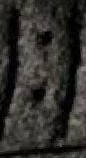 Snippet des Graphtypen