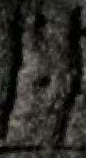 Snippet des Graphtypen