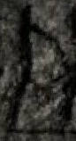 Snippet des Graphtypen
