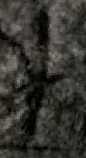 Snippet des Graphtypen