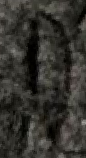 Snippet des Graphtypen