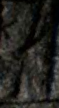 Snippet des Graphtypen