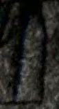 Snippet des Graphtypen