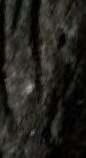 Snippet des Graphtypen