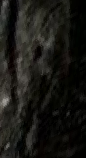 Snippet des Graphtypen