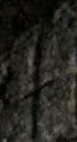 Snippet des Graphtypen