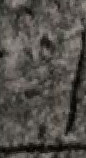 Snippet des Graphtypen