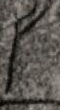 Snippet des Graphtypen