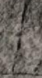 Snippet des Graphtypen