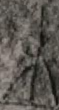 Snippet des Graphtypen