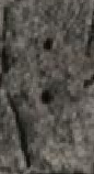 Snippet des Graphtypen