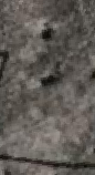 Snippet des Graphtypen