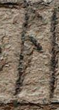 Snippet des Graphtypen