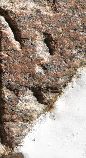 Snippet des Graphtypen