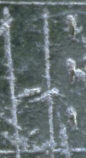 Snippet des Graphtypen