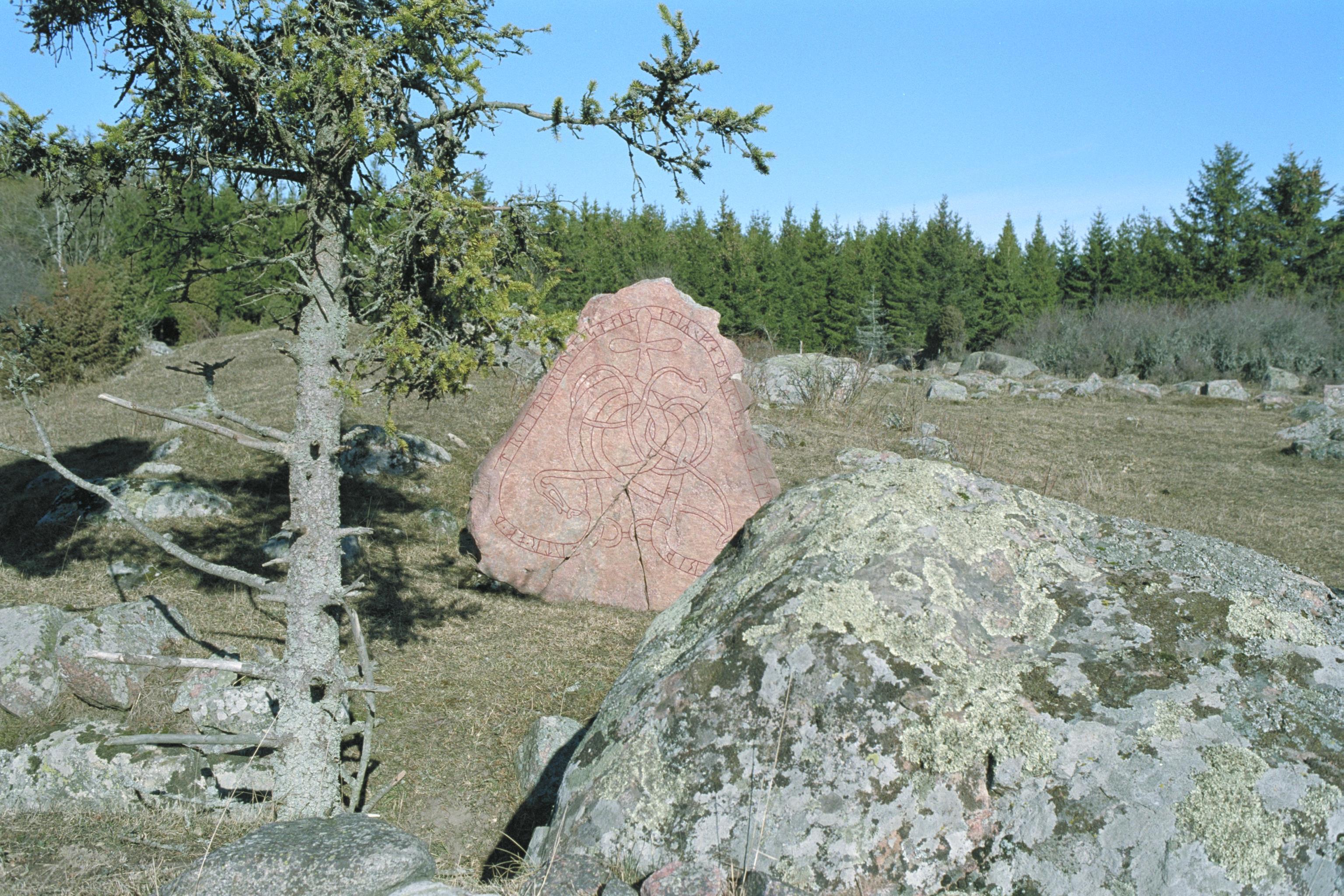 Picture of find